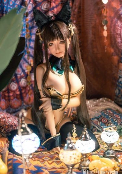 五号特工组电视剧全集在线观看