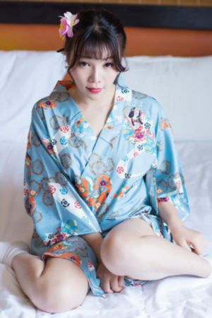 雷电将军电视剧免费观看高清