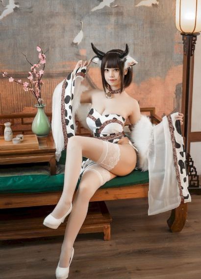 执行法官电视剧免费观看