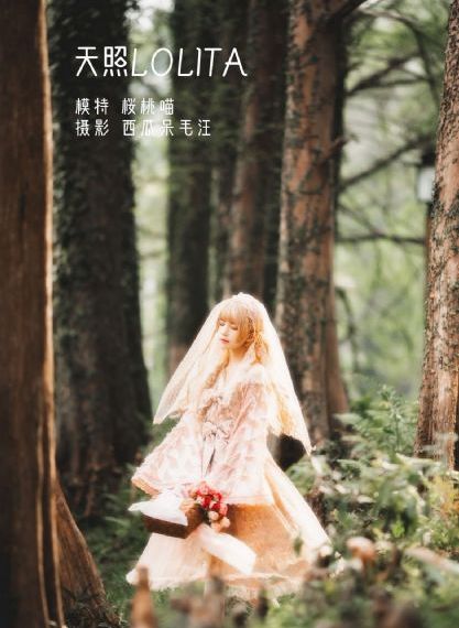 梅花红桃电视剧免费观看完整版